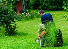 Kwikfynd Lawn Mowing
coringa
