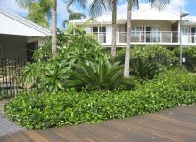 Kwikfynd Residential Landscaping
coringa